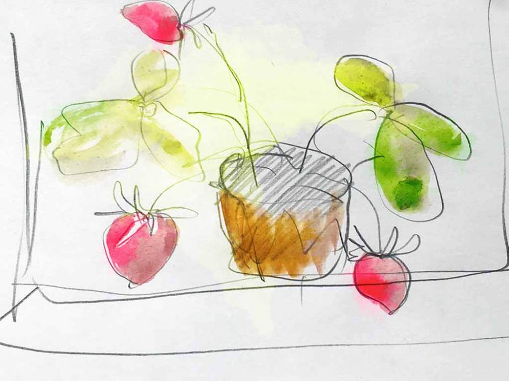 urban_sketching_urbangardening