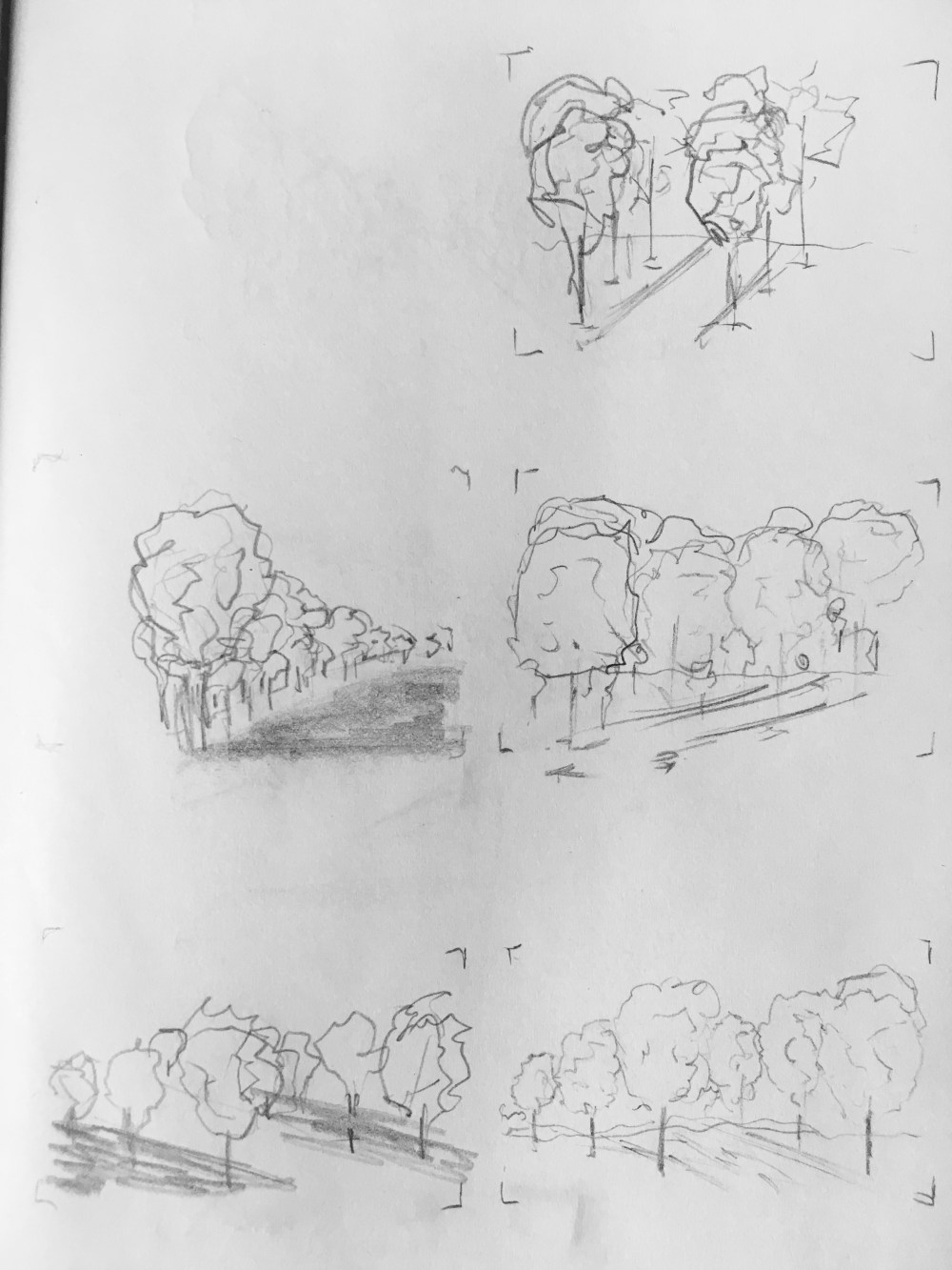 Fabio Follador - image