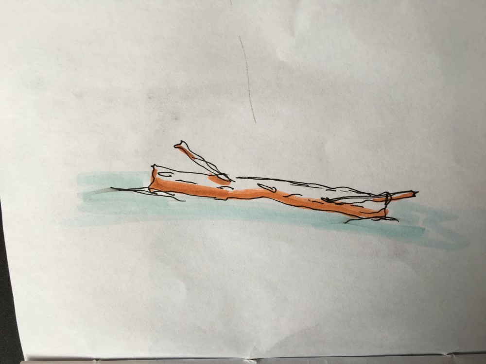 sandra savin - image (18)